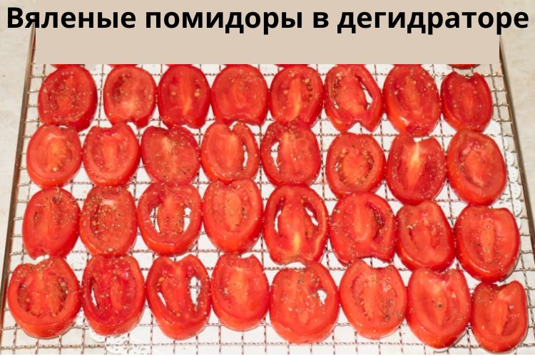 Вяленые помидоры в дегидраторе